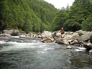 A person fishes for steelhead from the shore of the Siletz River