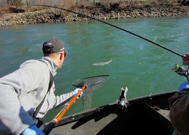 image of two anglers in a boat, one is landing a steelhead with a net