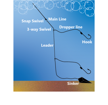 diagram of bottomfish fishing rig