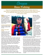 a photo of the front of the bass fishing flyer