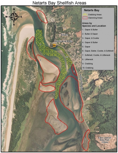 An aerial photo of the mouth of Netarts Bay with colored overlay denoting areas for crabbing and clamming.