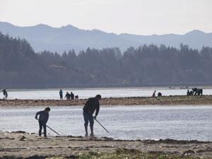 An adult and child stand next to each other on the shore of Tillamook Bay. Both of them are digging for clams. You can see other small groups of people doing the same thing on a sand bar in the background.
