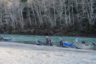 Several Rogue River fishing boats pulled up on shore